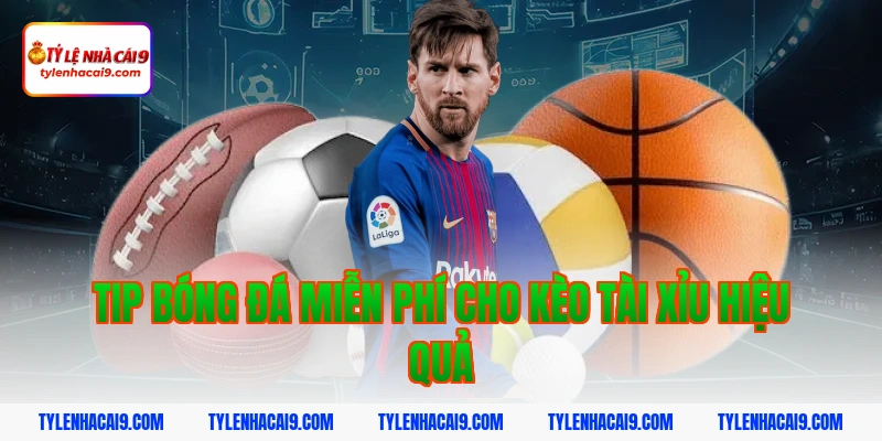 Tip bóng đá miễn phí cho kèo tài xỉu hiệu quả