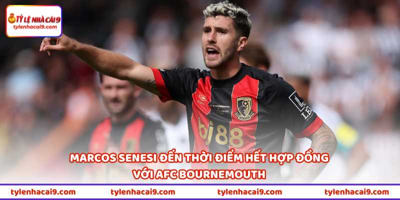 Marcos Senesi đang tiến gần đến thời điểm hết hợp đồng với AFC Bournemouth